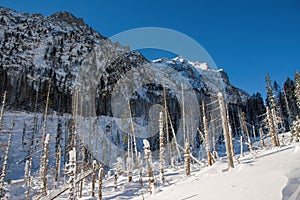 Winter with snow on the mountains. Great Cold Valley in High Tatras National Park