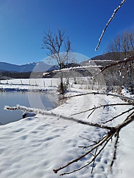 Winter snow mountains pond frozen trees branches