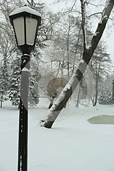 Winter snow park alley landscape. Snow benches at winter city park alley vertical image