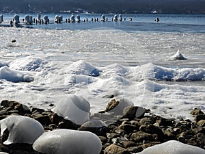 Winter snow scene on Cayuga Lake shore