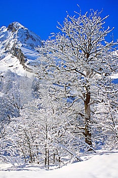 Winter snow scene in French Alps.