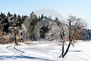 Winter snow scene in Jingyuetan National Forest Park