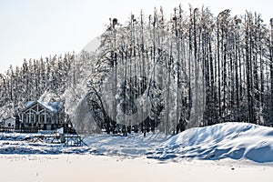 Winter snow scene in Jingyuetan National Forest Park