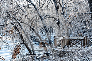 Winter snow scene in Jingyuetan National Forest Park