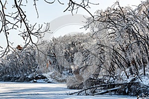 Winter snow scene in Jingyuetan National Forest Park