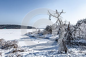 Winter snow scene in Jingyuetan National Forest Park