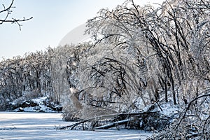 Winter snow scene in Jingyuetan National Forest Park, Changchun