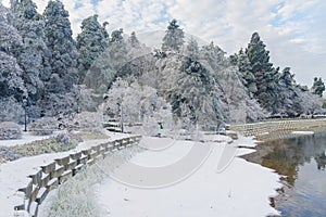Winter snow scene in Lushan Mountain Lu National Park Scenic Area, Jiujiang, Jiangxi, China