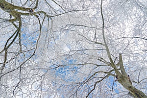 Winter snow scene in Lushan Mountain Lu National Park Scenic Area, Jiujiang, Jiangxi, China