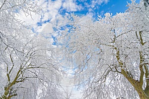 Winter snow scene in Lushan Mountain Lu National Park Scenic Area, Jiujiang, Jiangxi, China