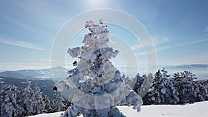 Winter snow scene on Mountain Divcibare, Serbia