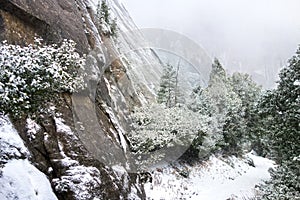 Winter snow storm and granite cliffs in Yosemite National Park