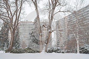 Winter snow storm in Toronto in February