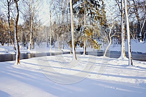 winter snow sunlight trees sky park