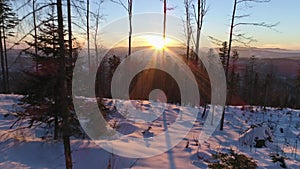 Winter Snow Sunset Forest Reverse Aerial 4k