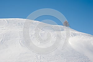 Winter:snow, tree and blue sky.