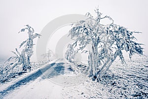 Winter snowbound road covered with snow photo