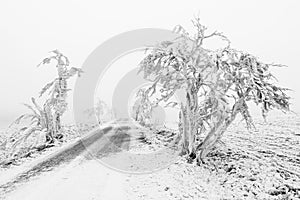 Winter snowbound road covered with snow and rime