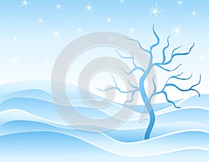 Winter Snowdrifts and Tree in Blue photo