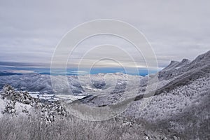 Winter snowfall in Collada De Bracons and Puigsacalm peak, La Garrotxa, Girona, Spain photo