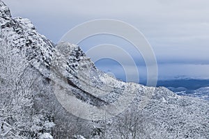 Winter snowfall in Collada De Bracons and Puigsacalm peak, La Garrotxa, Girona, Spain photo