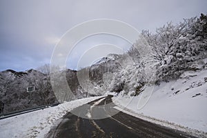 Winter snowfall in Collada De Bracons road, La Garrotxa, Girona, Spain photo