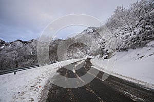 Winter snowfall in Collada De Bracons road, La Garrotxa, Girona, Spain photo