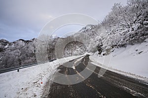 Winter snowfall in Collada De Bracons road, La Garrotxa, Girona, Spain photo