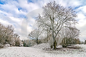 Winter After Snowfall European Countryside