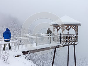 Winter snowfall has enveloped the entire space in the park with a white fluffy blanket, snow euphoria reigns in the air.