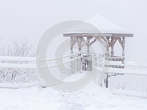 Winter snowfall has enveloped the entire space in the park with a white fluffy blanket, snow euphoria reigns in the air.