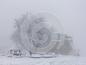 Winter snowfall has enveloped the entire space in the park with a white fluffy blanket, snow euphoria reigns in the air.