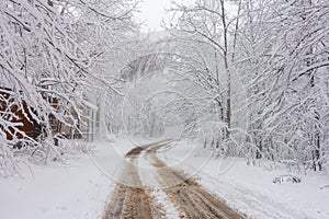 Winter snowfall has enveloped the entire space in the park with a white fluffy blanket, snow euphoria reigns in the air.