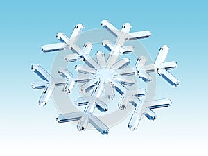 Winter snowflake