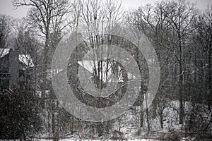 Winter snowing scene with houses and trees in background