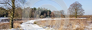 Winter snowlandscape panorama