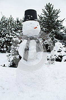 Winter snowman