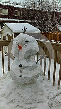 Winter Snowman on Porch in Storm