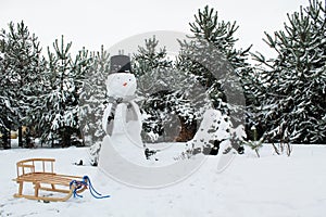 Winter, snowman and sledge