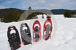 Winter snowshoes
