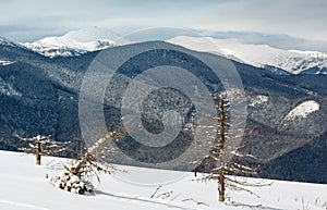 Winter snowy Carpathian mountains, Ukraine