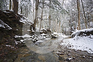 Winter snowy creek in woods