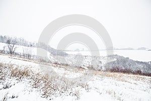 Winter snowy day , nature landscape