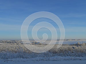 Winter snowy fields with the frosty steams, clear day.