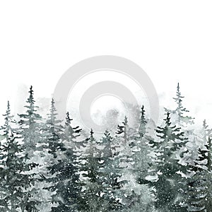 Winter pine tree forest. Watercolor spruce trees landscape illustration. Snowy foggy woods. Christmas background photo