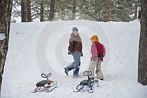 In winter, in a snowy forest, two boys with sleds climb the hill