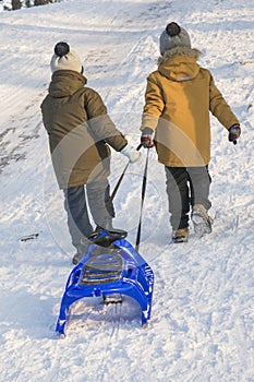 In winter, in a snowy forest, two boys with sleds climb the hill
