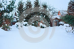 Winter snowy garden view with conifers photo