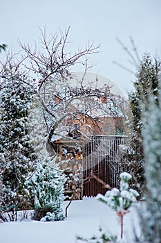 Winter snowy garden view with wood shed and fence