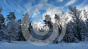 Winter snowy landscape in forest. Beautiful blue sky with clouds